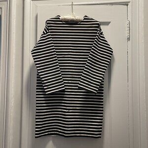 Everlane Breton Stripe Dress with Shoulder Zipper